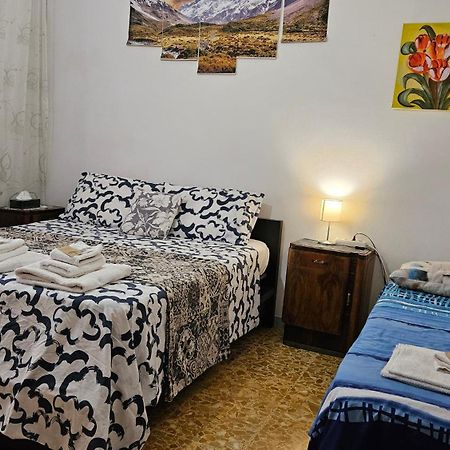 Melissa Lux Daire Ciampino Dış mekan fotoğraf